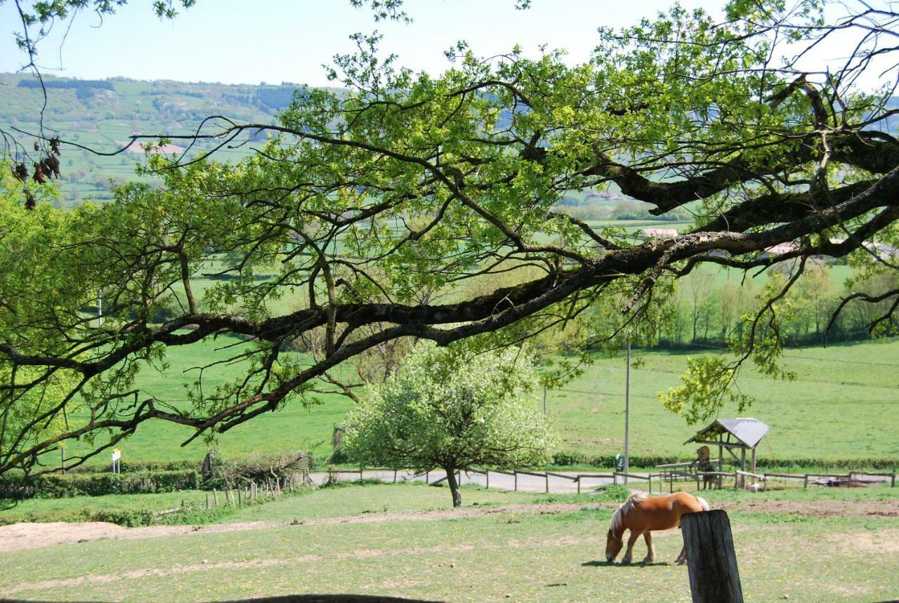Village.Insolite Montagny-sur-Grosne Exterior foto