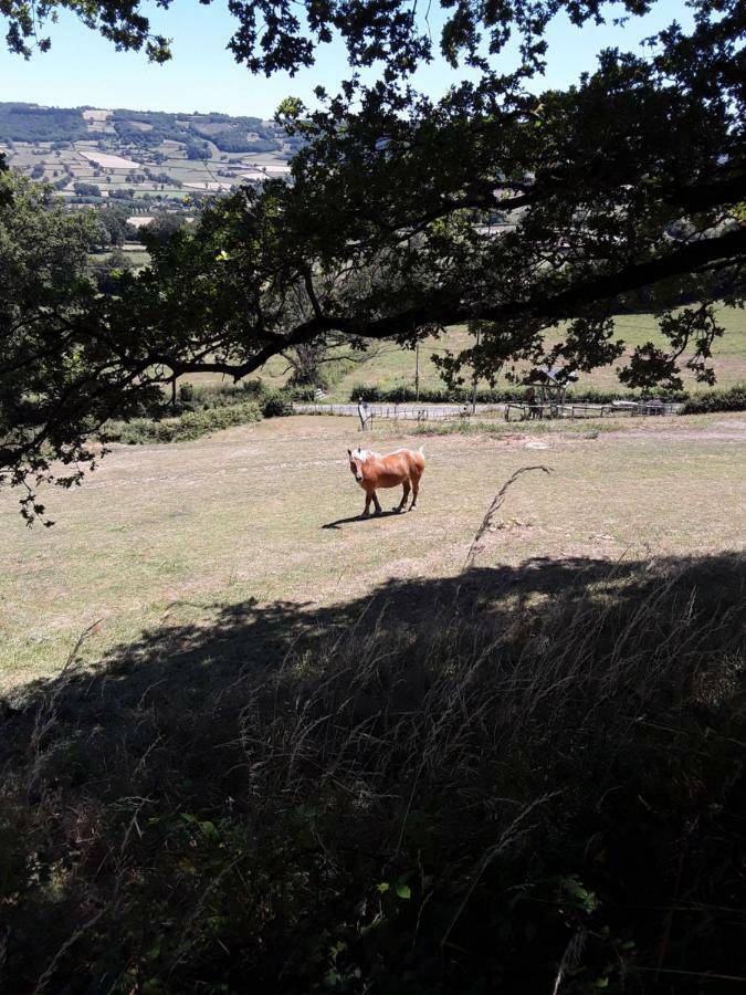 Village.Insolite Montagny-sur-Grosne Exterior foto